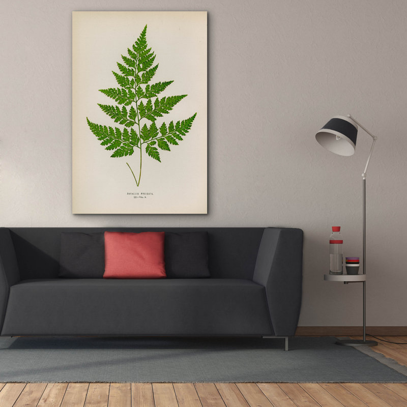 «Epic Graffiti» Davallia Pyxidata »par Art Licensing Studio, art mural sur toile, 40 po x 60 po