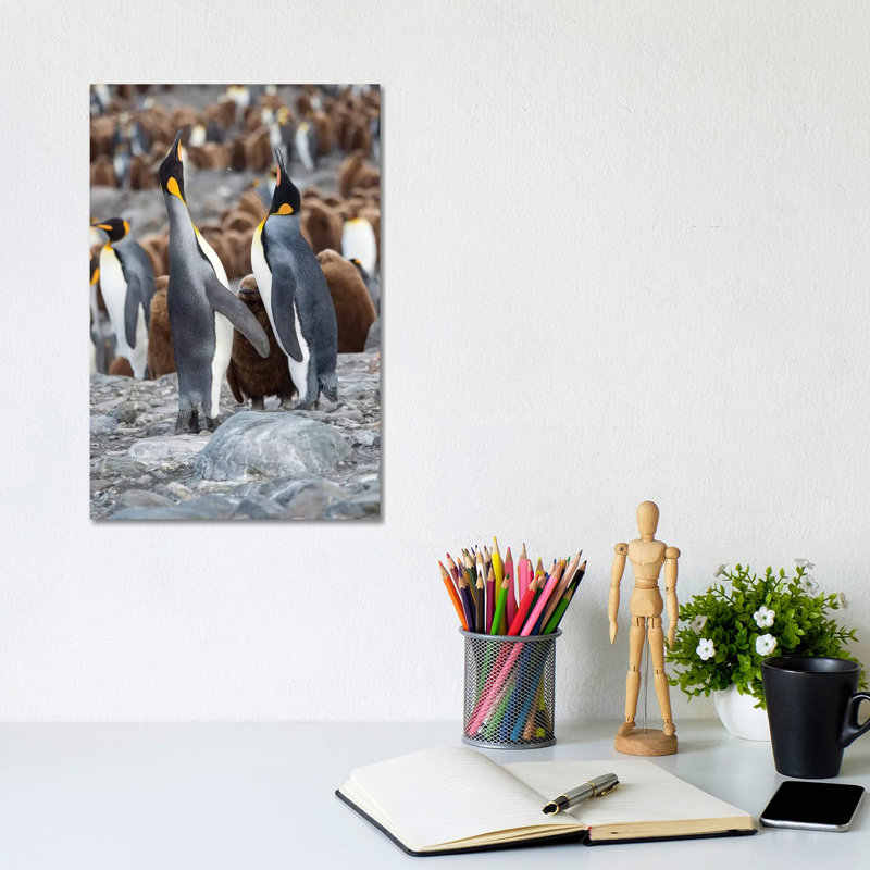 King Penguin Rookery In St. Andrews Bay. Feeding Behavior. South Georgia Island by Martin Zwick - Wrapped Canvas Print