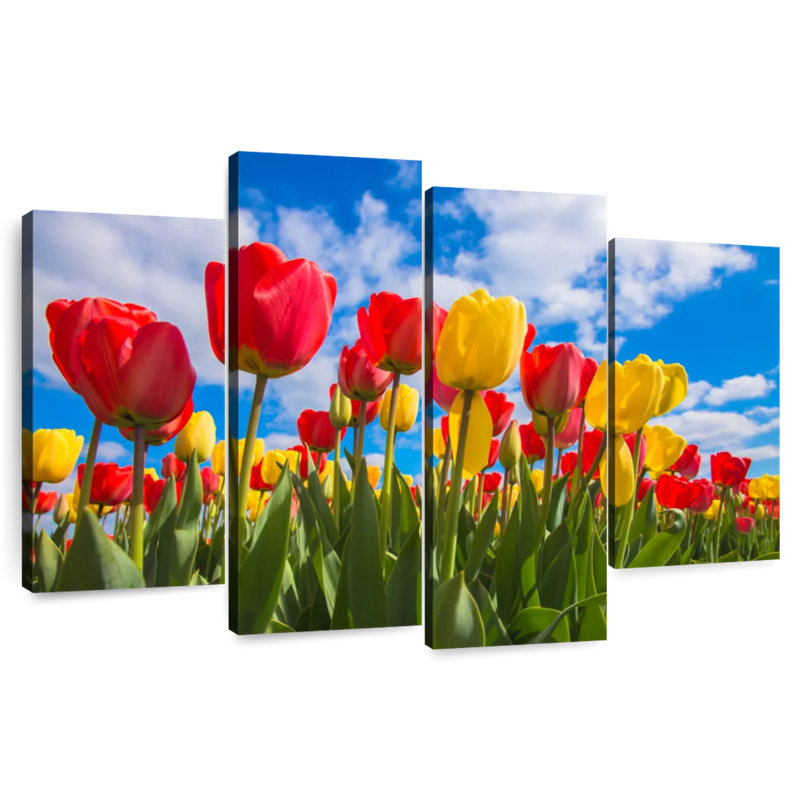 Harnek Spring Tulip Field, 22" H x 36" W