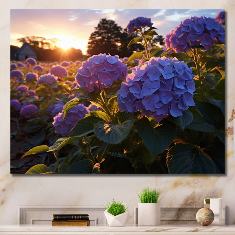 Purple Hydrangea Field With Sunset, Toile tendue, H 34 po x l 44 po x P 1,5 po