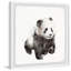 «Dreamy Panda» par Reale, reproduction encadrée-1206001112