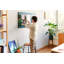 Besteiro Cork Corkboard / Bulletin Board