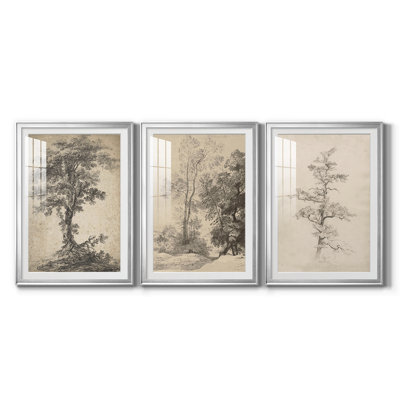 Vintage Sketch C  -Custom Framed  Premium Print W Matt - 3 Pieces