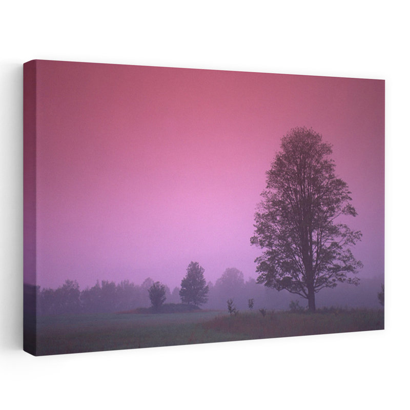 Evening Fields - Landscapes Photography Trees Art, 24" H x 36" W