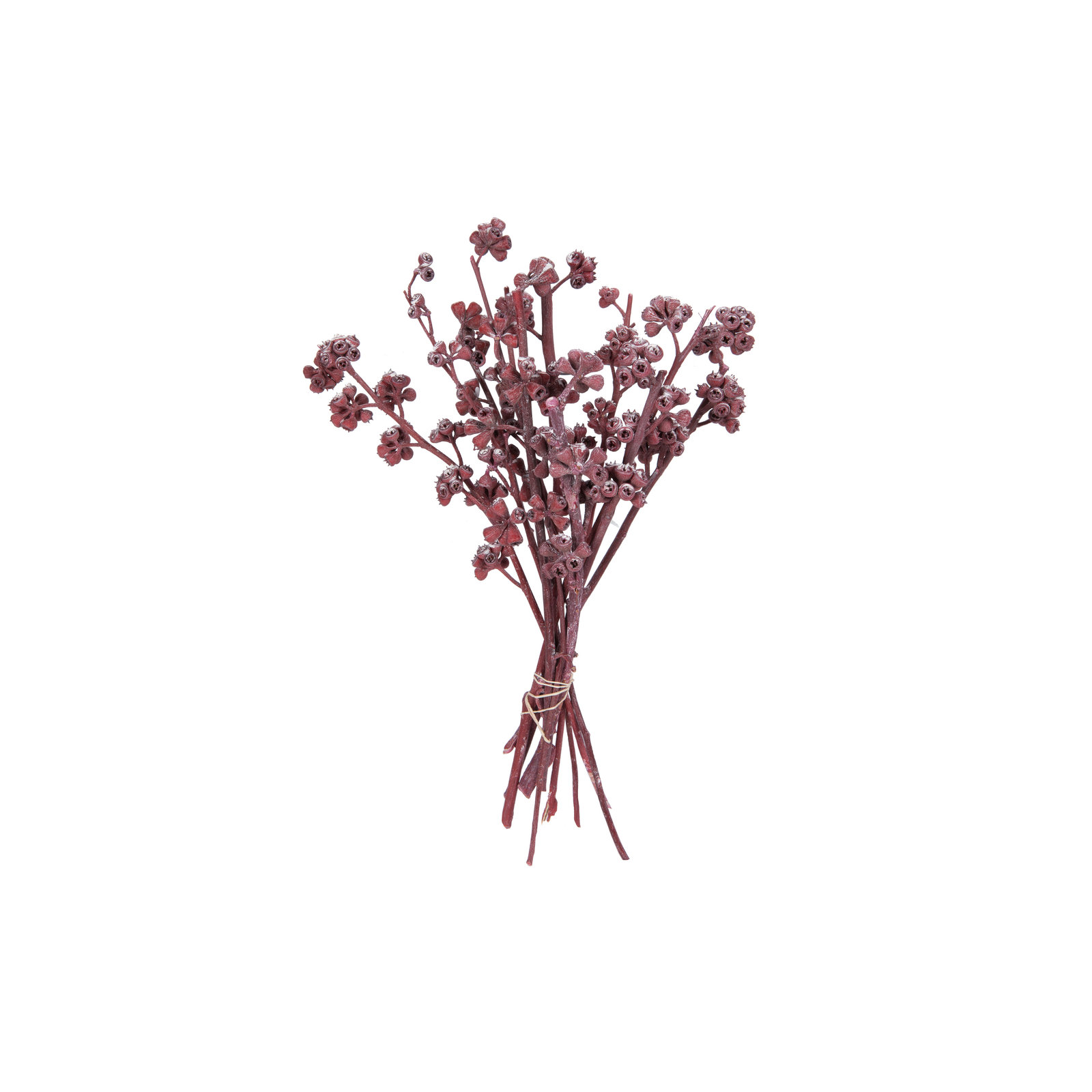 13'' Branch, Red