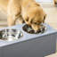 Support à bol moyen pour chien, surélevé, gris, avec 2 bols en acier inoxydable, facilite la station d'alimentation pour animaux