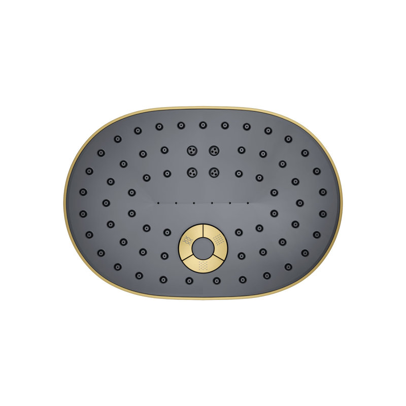 Statement™ Oval Multifunction Showerhead with Katalyst Air-Induction Technology, Vibrant Brushed Moderne Brass