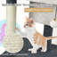 Lyell 80cm H Cat Tree