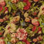 Ashbourne Peony Fabric