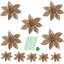 Angelicque Polyethylene (PE) Poinsettia Arrangement-295028127