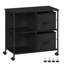 Agapi 73.5cm Wide File Cabinet-211274672