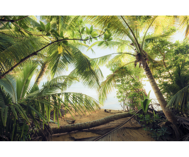 Wrapped Canvas Print, 50.8cm H x 76.2cm W