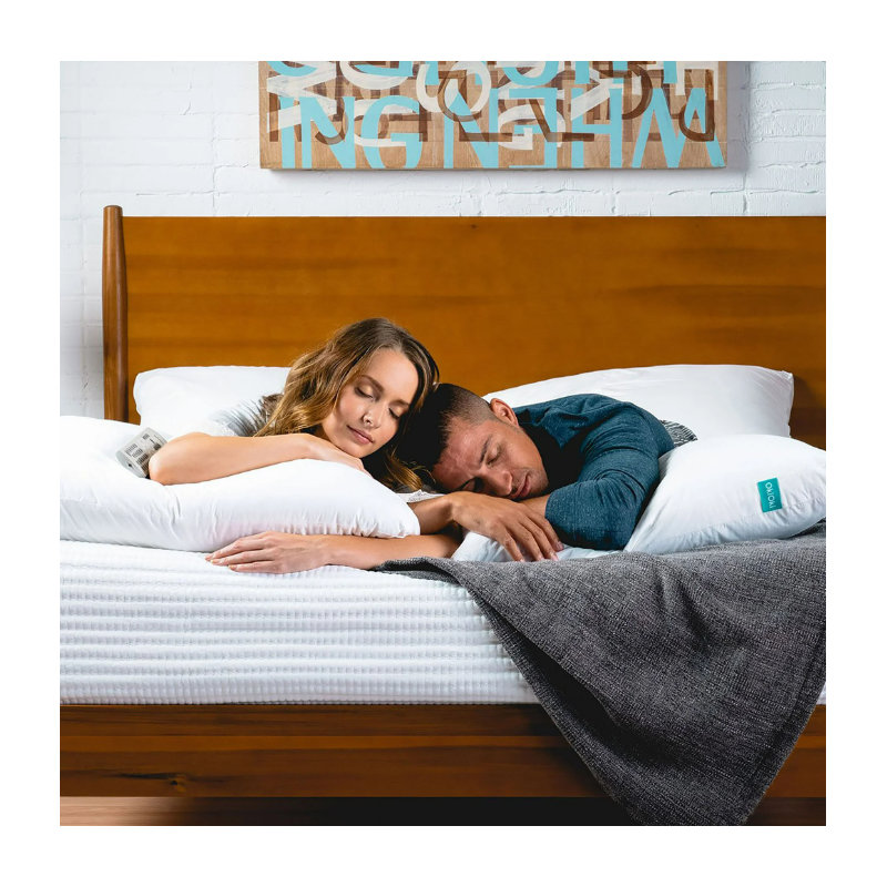 Insert de coussin 