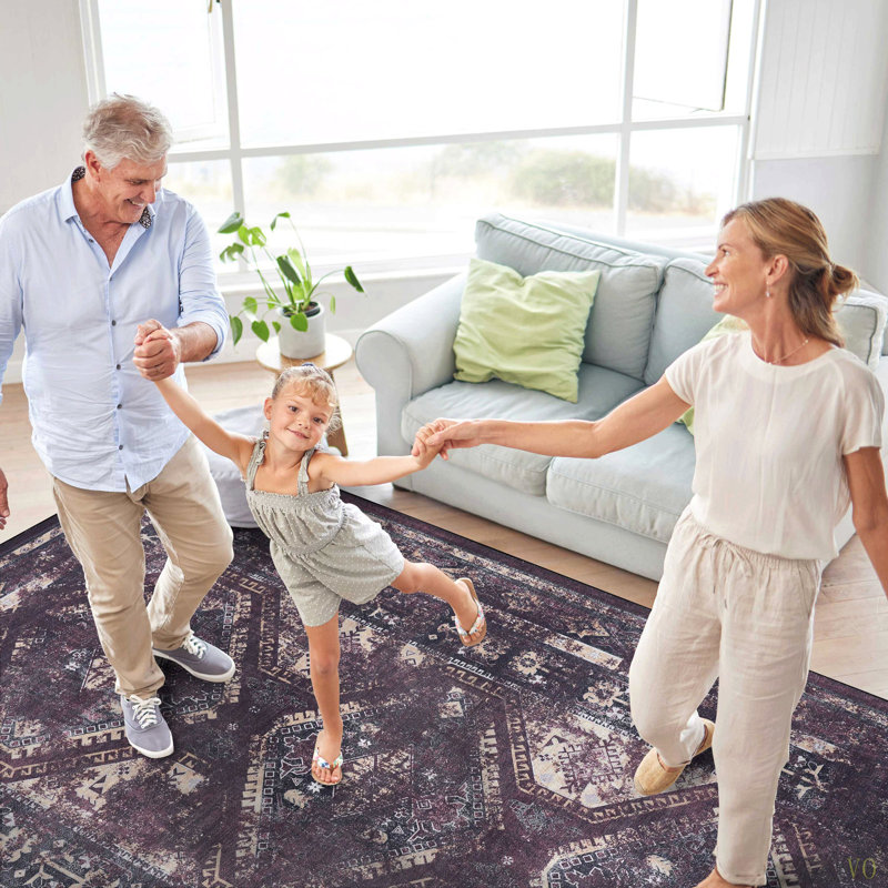 6X9 Area Rugs, Washable Rug, Low-Pile, Non-Slip, Non-Shedding, Foldable, Kid & Pet Friendly - Area Rugs For Living Room, Bedroom, Kitchen (6'X 9')