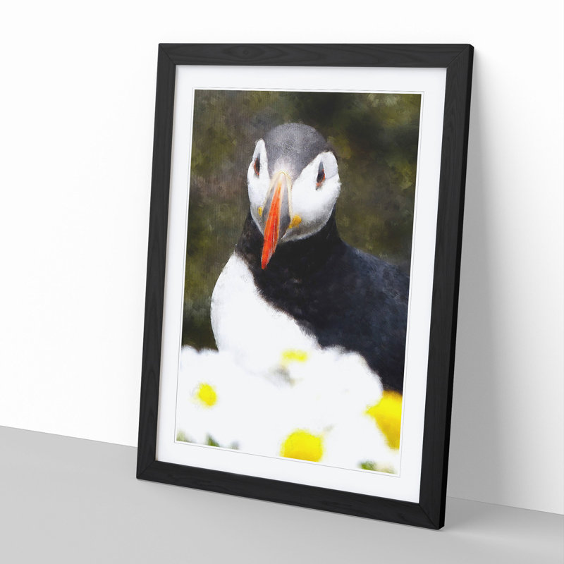 Atlantic Puffin Birds Vol.2 - Picture Frame Painting, Black Framed, 65cm H x 48cm W x 2cm D