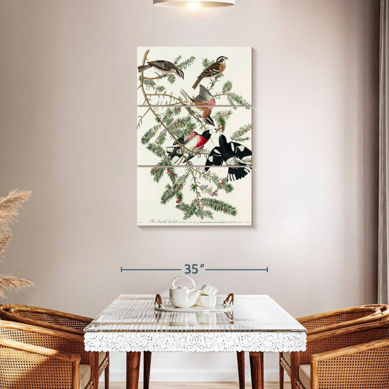 Brampt Rose Breasted Grosbeak, 45" H x 28" W