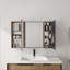 Armoire de salle de bain avec miroir et rangement