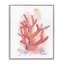 Giclée encadrée pêche, corail, par Matthew Piotrowicz-177396304-177396305