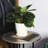 Pansy Ceramic Pot Planter-88134233