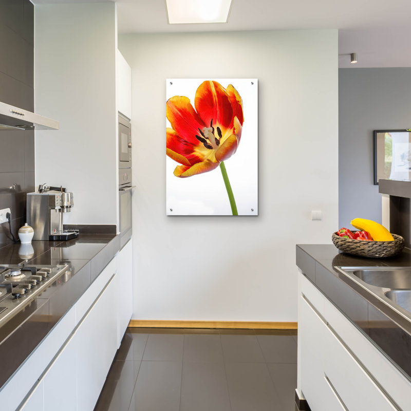 «Orange Poppy Opened Today» par Pamela Plummer, H 36 po x l 24 po x P 0,2 po
