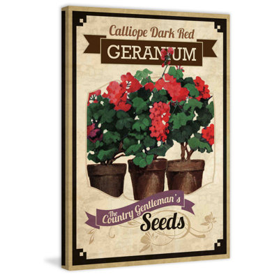 Flower Packet Geranium - Wrapped Canvas Print