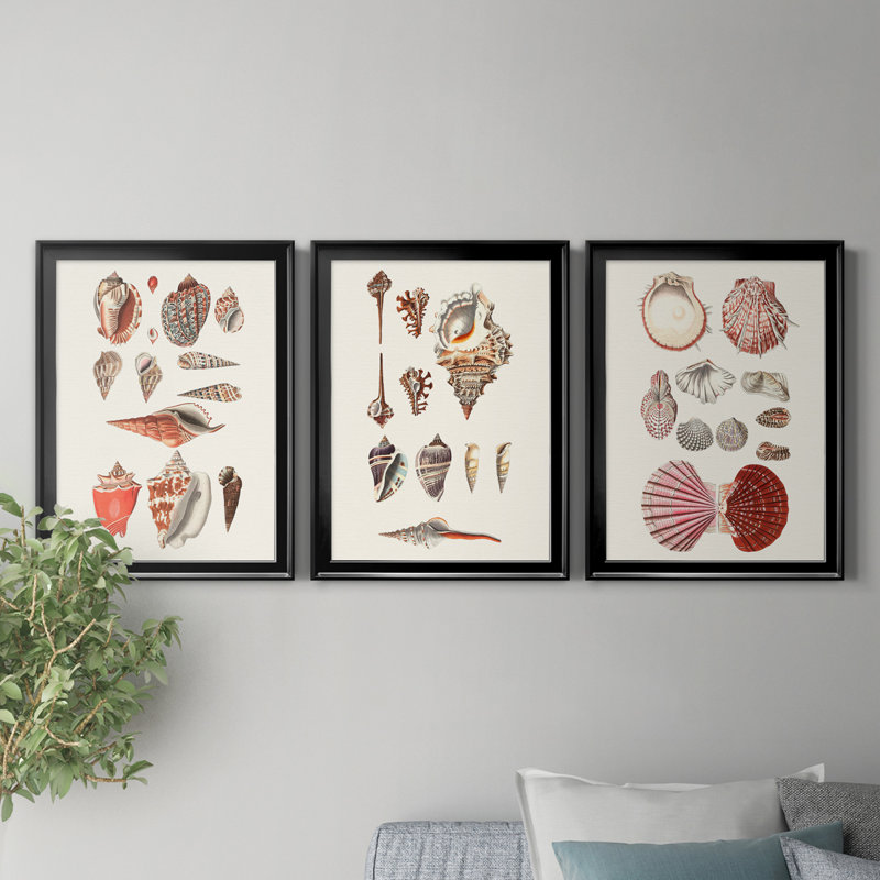 Shell Collection IV - Ensemble de 3 peintures sur toiles encadrées, Cadre noir, H 18,5 po x l 73,5 po x P 1,5 po