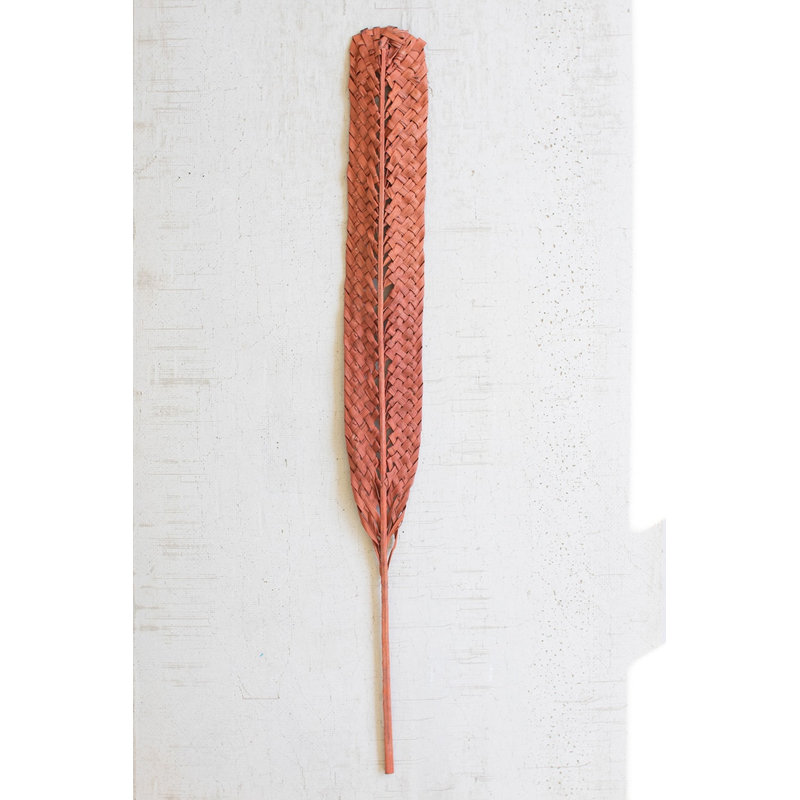  Tige de feuille de corail naturelle tissée à la main 48 po, ensemble de 12