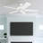Belmar 52" Ceiling Fan with Pull Chain-1852046314
