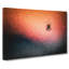 Spiders Web In Abstract - Wrapped Canvas-55341350