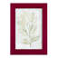 Tyrel Breezy Fronds III, encadré sur papier-580115398-580115399