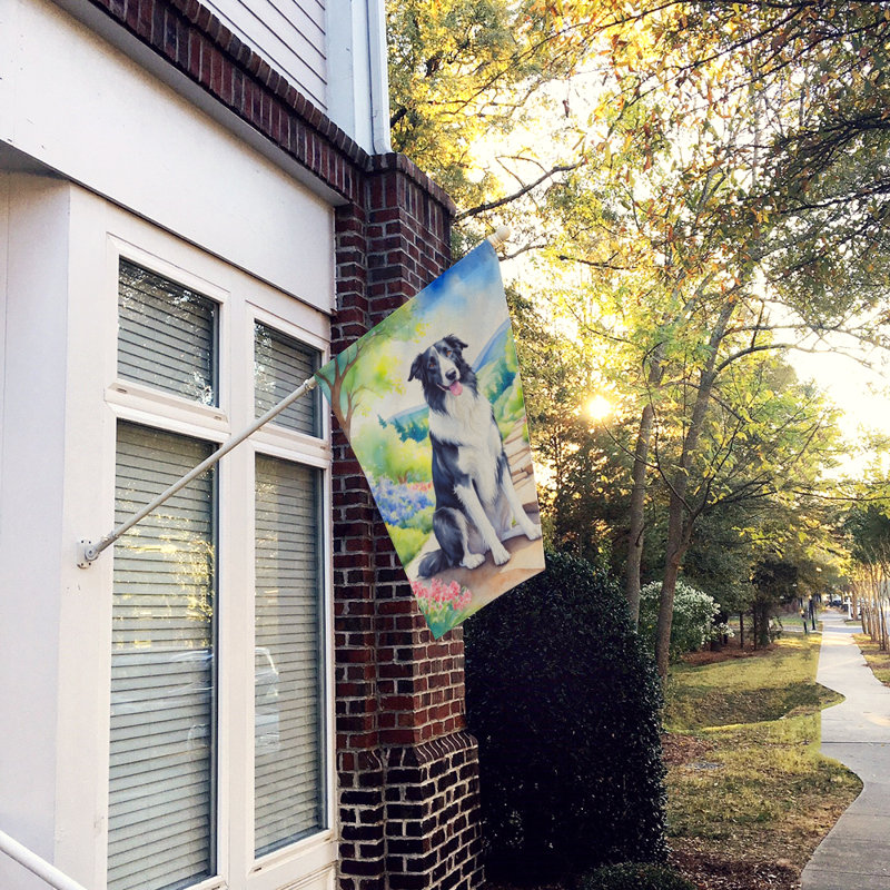 Knisely Double Sided 40'' H x 28'' W Polyester House Flag
