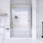 48 po X P 75 po Porte de douche coulissante double H-108925401