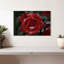 Rose rouge Harnek-108706717