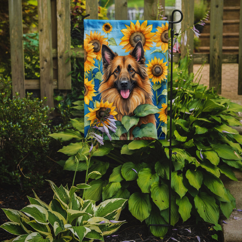 Lévrier irlandais dans le drapeau du jardin de tournesols, Berger de Tervueren