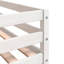 Dedalus Bunk Bed with Trundle Included-1443481176-1443481177