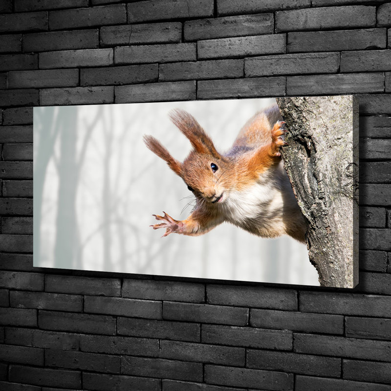 Squirrel - No Frame Print on Canvas