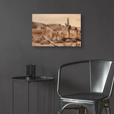 «Desert Owl» par Lori Deiter