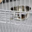 Cage à oiseaux 22 po Hetter-873780071