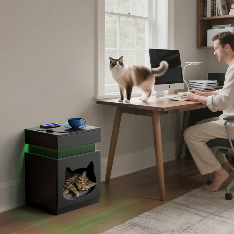 Table de chevet avec station de charge pour chat, table de chevet pour lit de chat, table de chevet noire moderne avec lumières DEL, table d'appoint avec rangement pour chat - Meubles pour salon, canapé pour chambre à coucher
