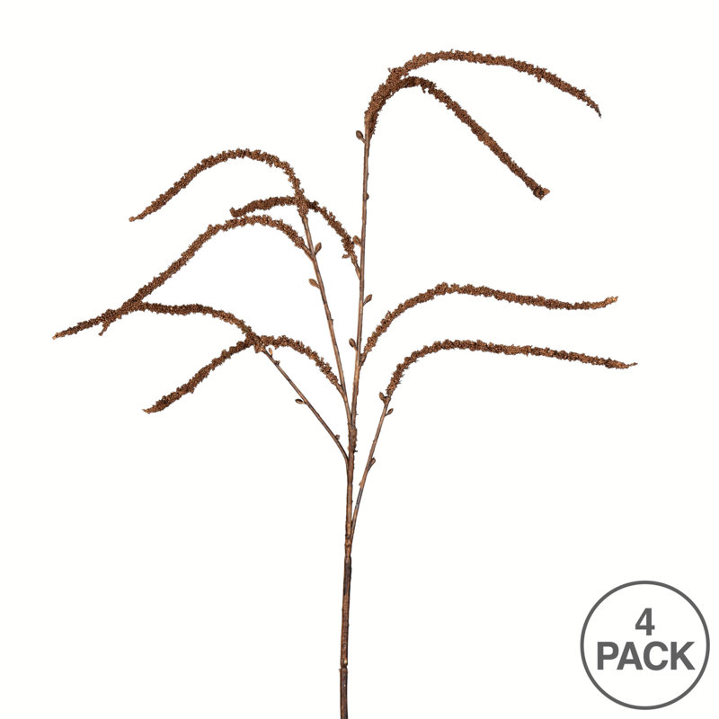 29 Willow Plant