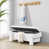 White est en rupture de stock