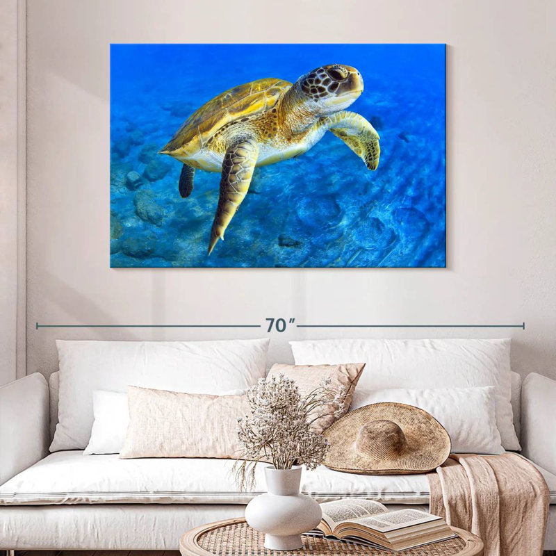 Brampt Sea Turtle Explorer, 32" H x 48" W