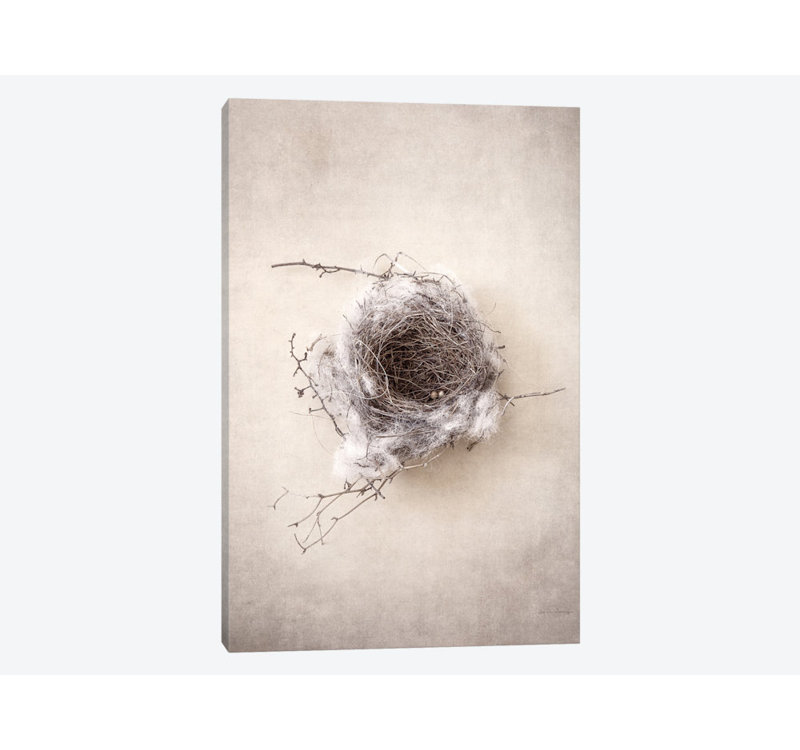 «Nest III» par Debra Van Swaringen - Impression sur toile tendue sur châssis, H 18 po x l 12 po x P 1,5 po, Toile tendue