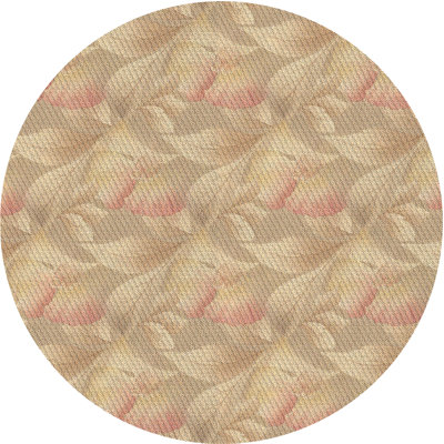 Indoor Rug