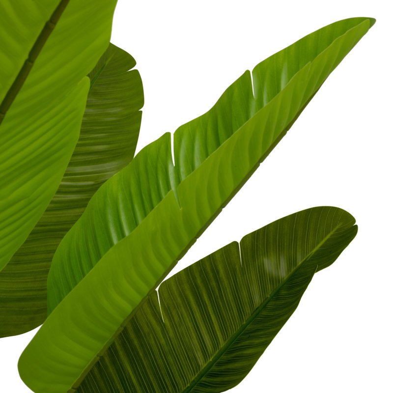 Artificial Plant Strelitzia Green, 70.87" x 39.37"