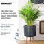 Modern Ribbed Cylinder Round Planter with Feet-2118313553-2118313558