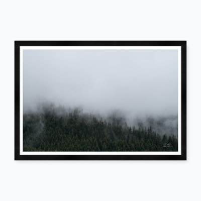 Mountain Fog " Mountain Fog Ii " by Tim Klein