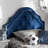 Miccah Upholstered Headboard-1848913945-1848913954