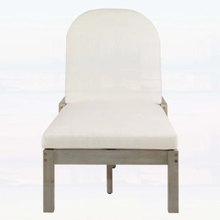 Outdoor Chaise Lounge,with 5-Position Adjustable Backrest,Sturdy Structure for Poolside and Backyard