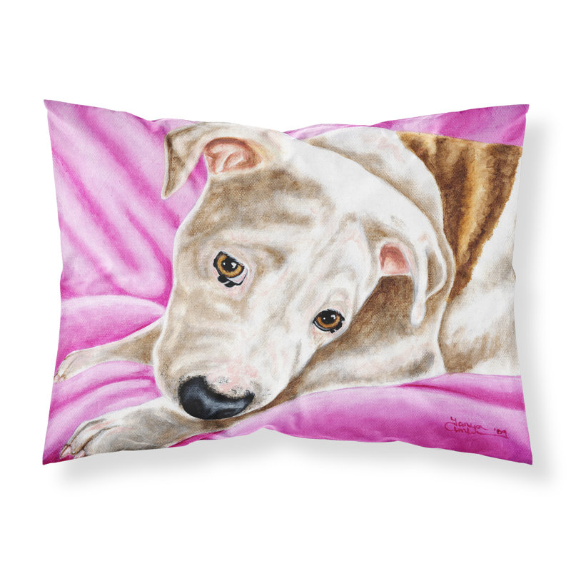  Taie d'oreiller Dream Girl Pit Bull